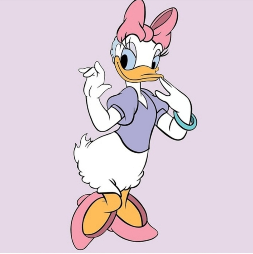 π Welcome To Daisy Duck's Closet π - Picture 2 of 7